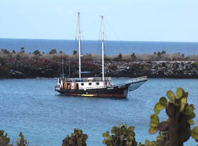 139_VOILIER
