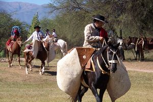 1_GAUCHOS