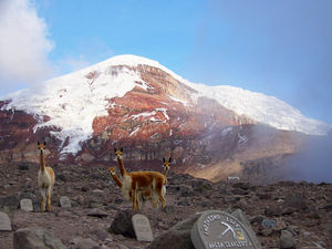 126_CHIMBORAZO