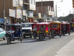 26_bis_MOTOTAXIS